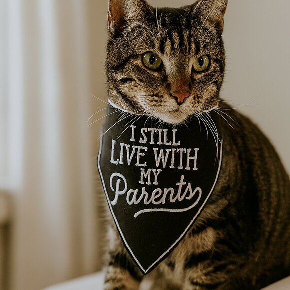 Funny Embroidered Pet Bandana: "I Still Live With My Parents" - Dog/Cat Scarf - Picture 3 of 3